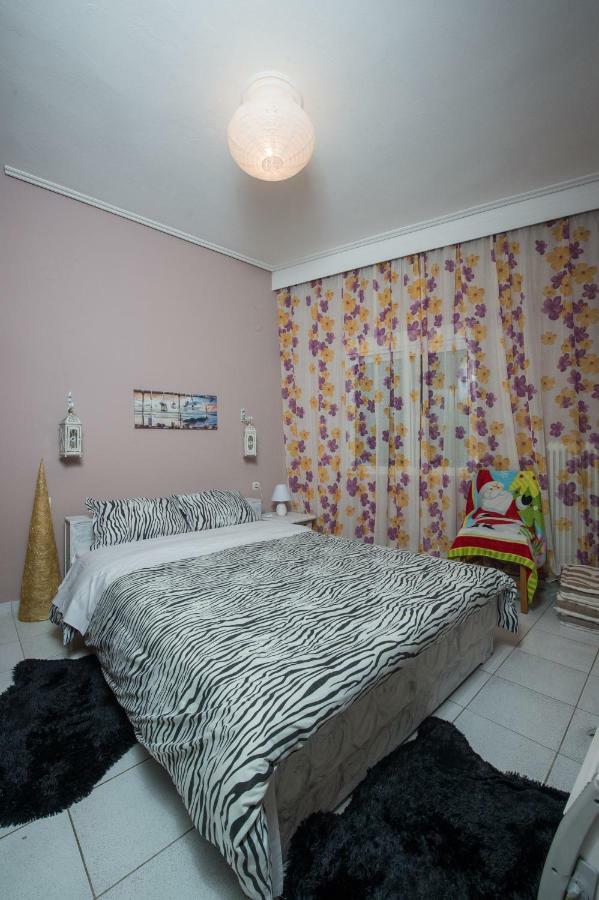 101 Τriantafyllidi Apartment Volos Exterior foto